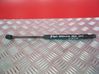 Tailgate/trunk strut/damper 