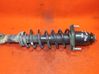 Rear shock absorber/damper 