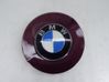 Front bumper turn signal 