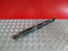 Rear shock absorber/damper 