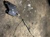 Fuel tank cap lock 6923975