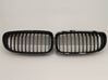 Front grill 7201969
