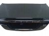 Tailgate/trunk/boot lid 