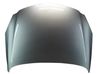 Motorhaube 