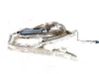 Roof airbag 85714150807