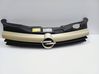Front grill 95599633