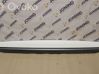 Panel trim 110056700F
