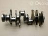Crankshaft 079101AN
