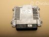 Engine control unit/module 391602EKM1