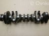 Crankshaft 755328701