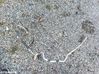 Air conditioning (A/C) pipe/hose 1K0820743BQ