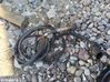 Lambda probe sensor 755775602