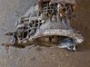 Manual 6 speed gearbox 