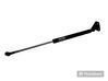 Tailgate/trunk strut/damper 04746SJD000