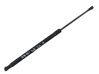 Tailgate/trunk strut/damper 8P3827552
