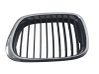Front grill 2494065