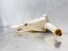 Windshield washer fluid reservoir/tank 
