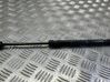 Front bonnet/hood damper/strut 7348853