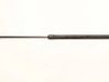 Tailgate/trunk strut/damper 904504EA1A