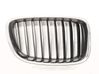 Atrapa chłodnicy / Grill 