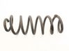 Muelle espiral trasero 