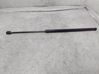 Tailgate/trunk strut/damper 131013350512