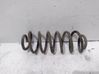Rear coil spring 