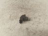 Camshaft position sensor 0281002406