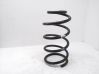 Front coil spring 