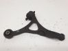 Front lower control arm/wishbone 