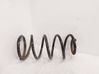 Front coil spring 