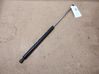 Tailgate/trunk strut/damper 8200025317C