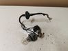 Tail light bulb cover holder 