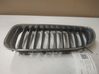 Front bumper upper radiator grill 