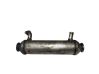 EGR valve cooler 55202430