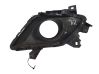 Front fog light trim/grill GHP450C21