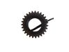 Crankshaft gear 