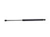 Tailgate/trunk strut/damper 9682256580