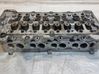 Engine head 55571949