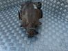 Rear differential 7571188