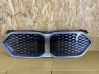 Front grill 51135A4B3D3