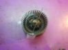 Mazā radiatora ventilators 95NW18456CA