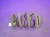 Front coil spring 