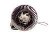 Soplador/ventilador calefacción 