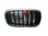 Front grill 7316076