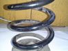 Rear coil spring 
