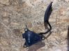 Accelerator throttle pedal 8200297335