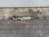 Steering rack 4K1423053D