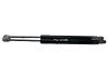 Tailgate/trunk strut/damper 3410590700N