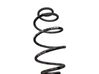 Rear coil spring 